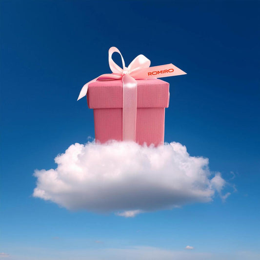 Gutschein ROMIRO 🎁 – Freude an Mobilität verschenken