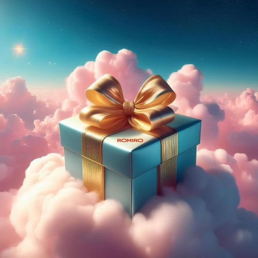 Gutschein ROMIRO 🎁 – Freude an Mobilität verschenken